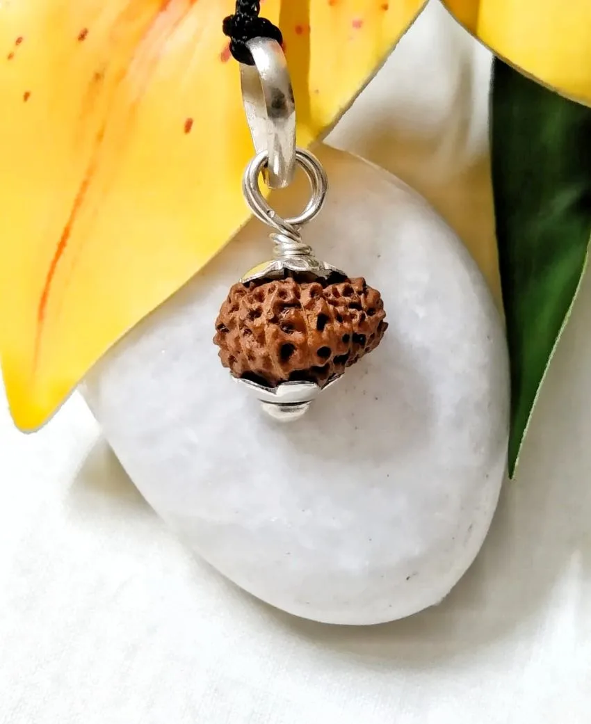 17 Mukhi Rudraksha
