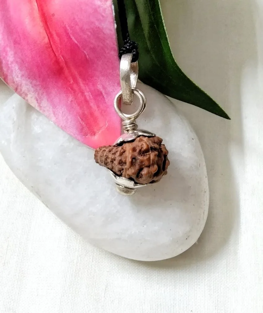17 Mukhi Rudraksha