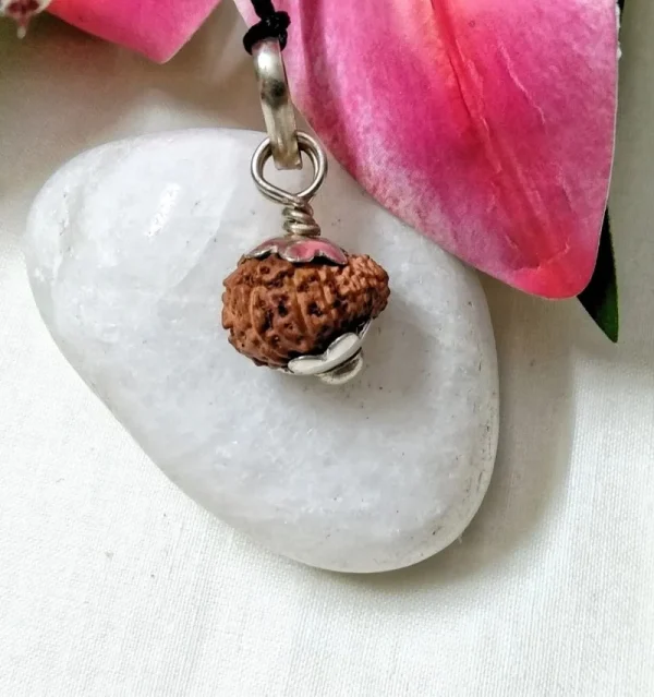 17 Mukhi Rudraksha