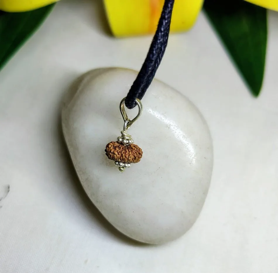 17 Mukhi Rudraksha