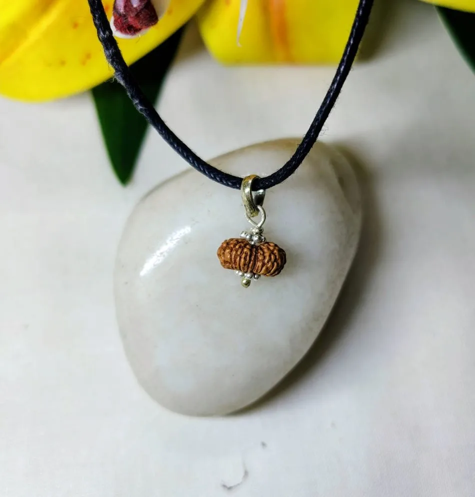 17 Mukhi Rudraksha