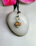 17 Mukhi Rudraksha