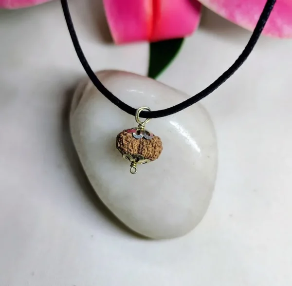 17 Mukhi Rudraksha