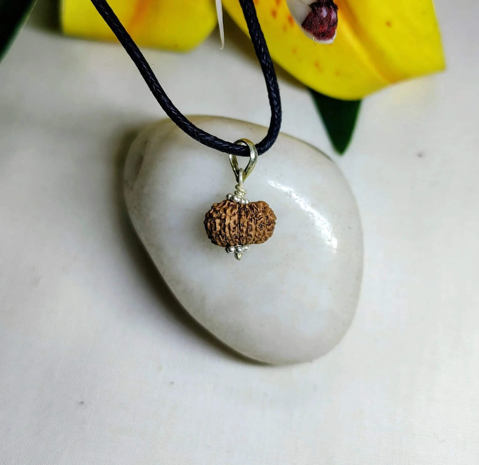 17 Mukhi Rudraksha
