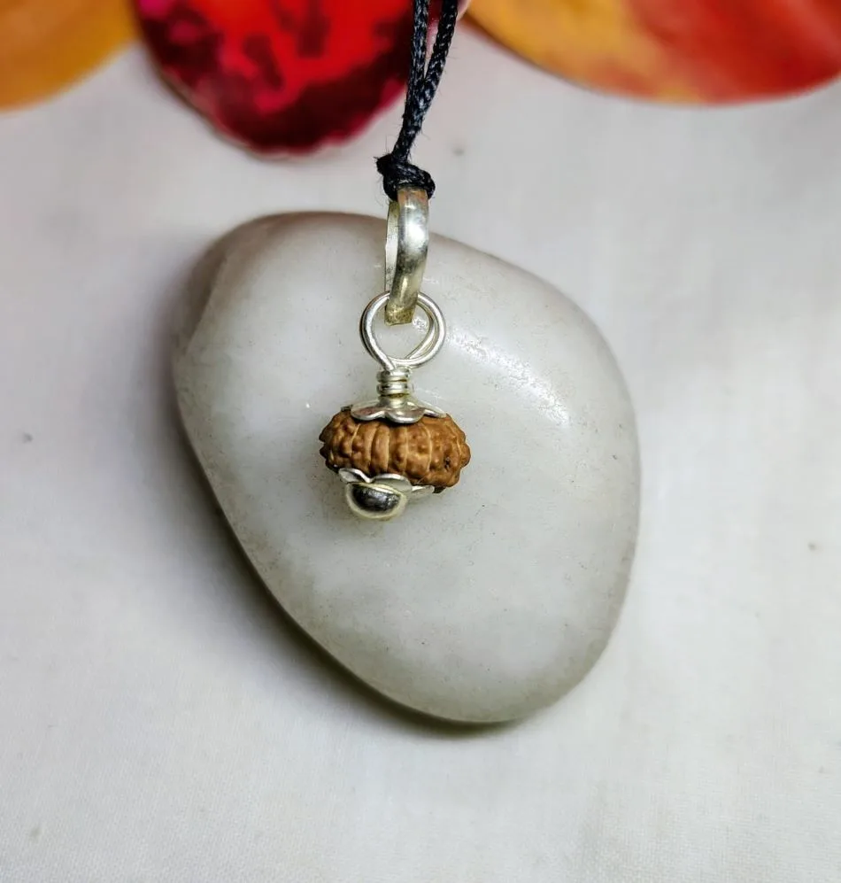 17 Mukhi Rudraksha