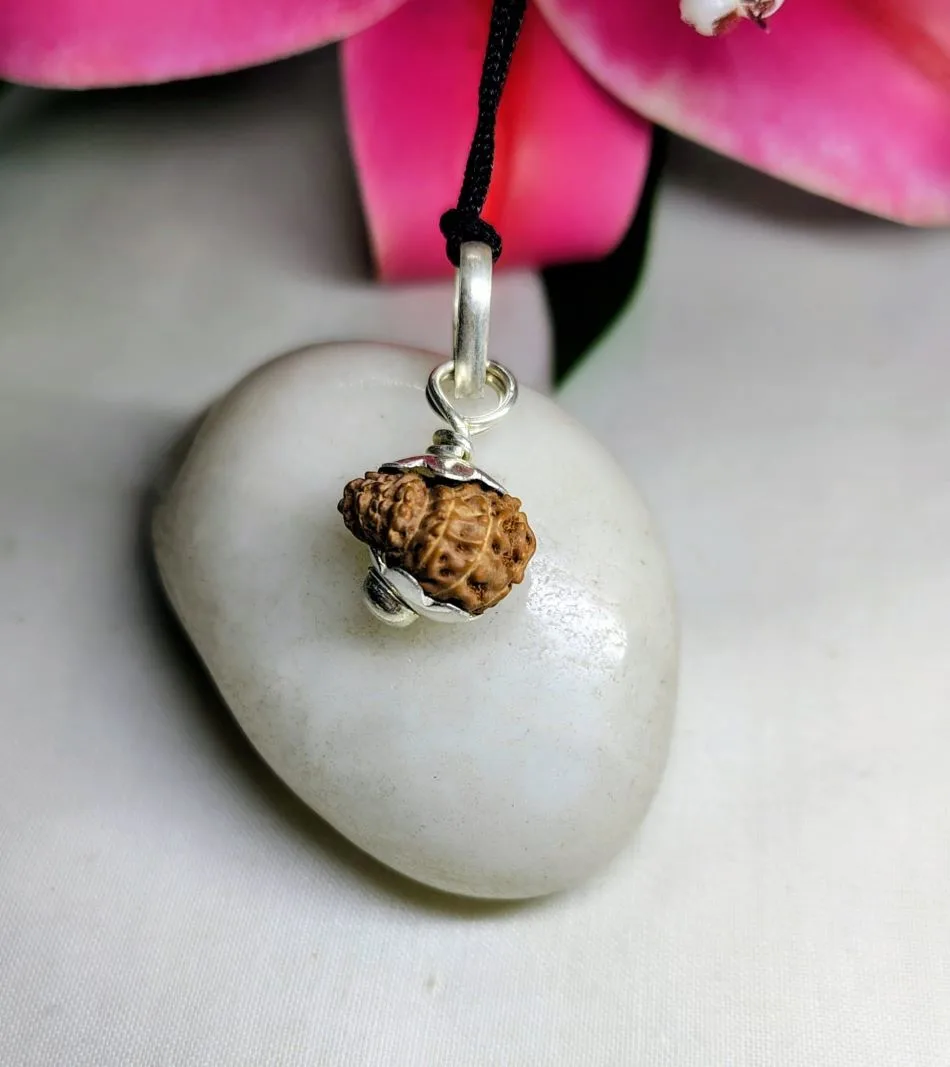 17 Mukhi Rudraksha