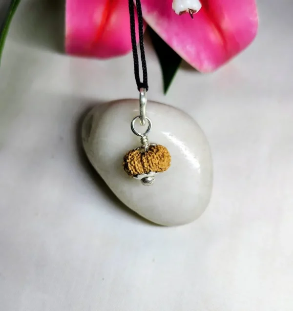 17 Mukhi Rudraksha