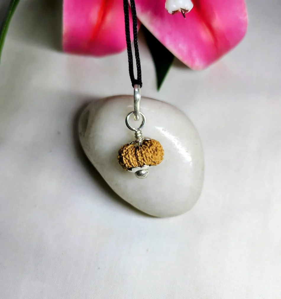 17 Mukhi Rudraksha