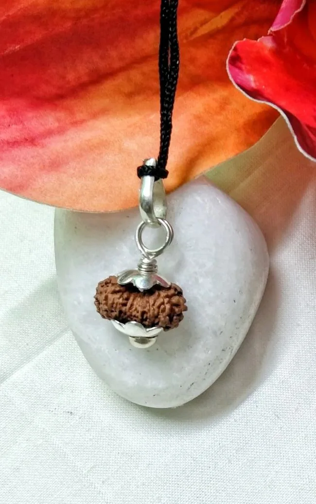 17 Mukhi Rudraksha