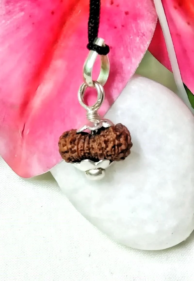 17 Mukhi Rudraksha