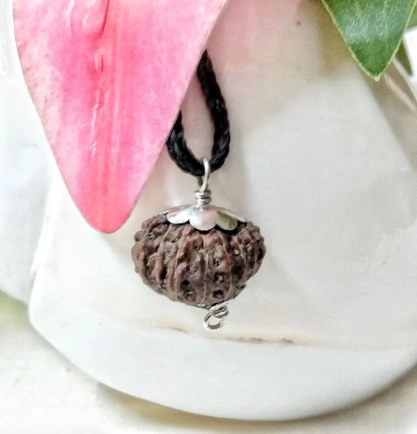 17 Mukhi Rudraksha