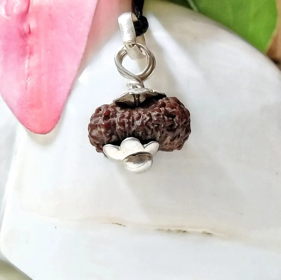 17 Mukhi Rudraksha