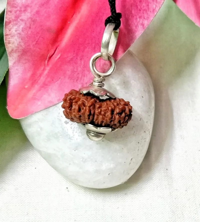 17 Mukhi Rudraksha