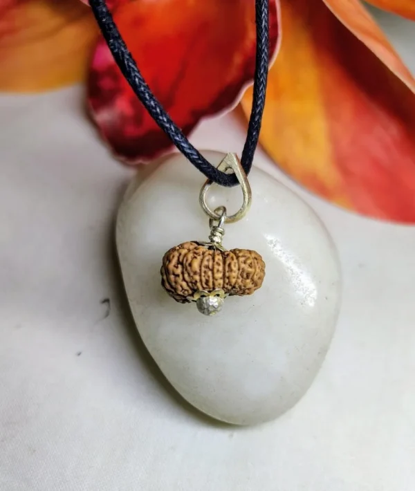 17 Mukhi Rudraksha