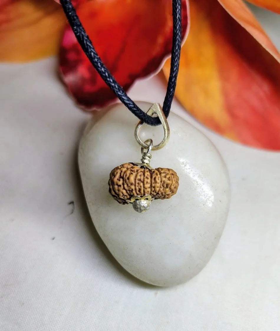 17 Mukhi Rudraksha