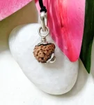 17 Mukhi Rudraksha