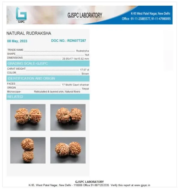 17 Mukhi Certificate