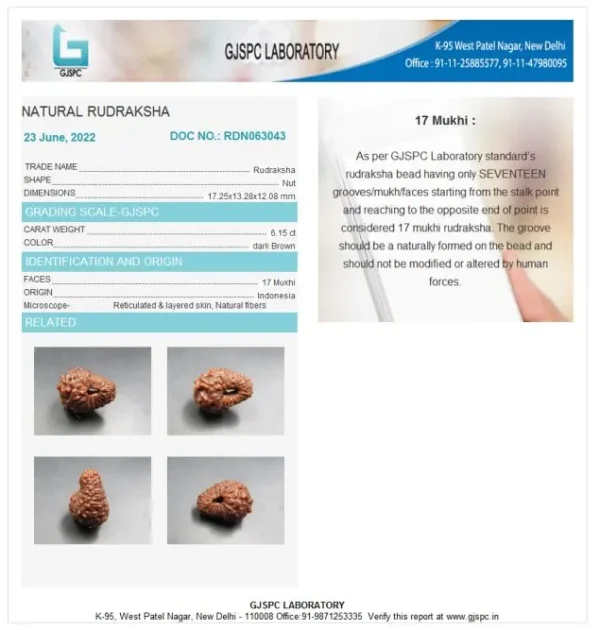 17 Mukhi Certificate