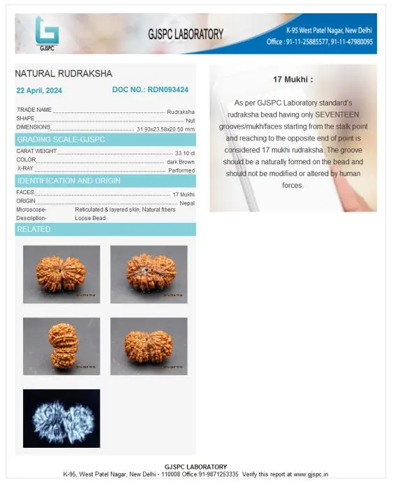 17 Mukhi Certificate