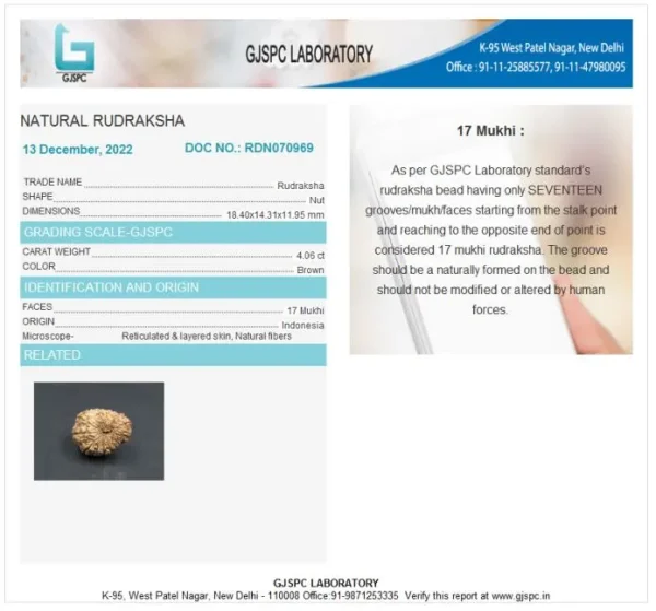 17 Mukhi Certificate