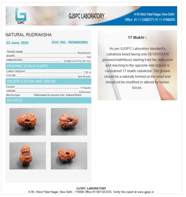 17 Mukhi Certificate