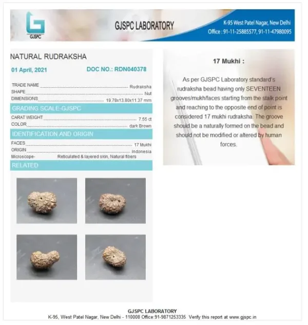 17 Mukhi Certificate