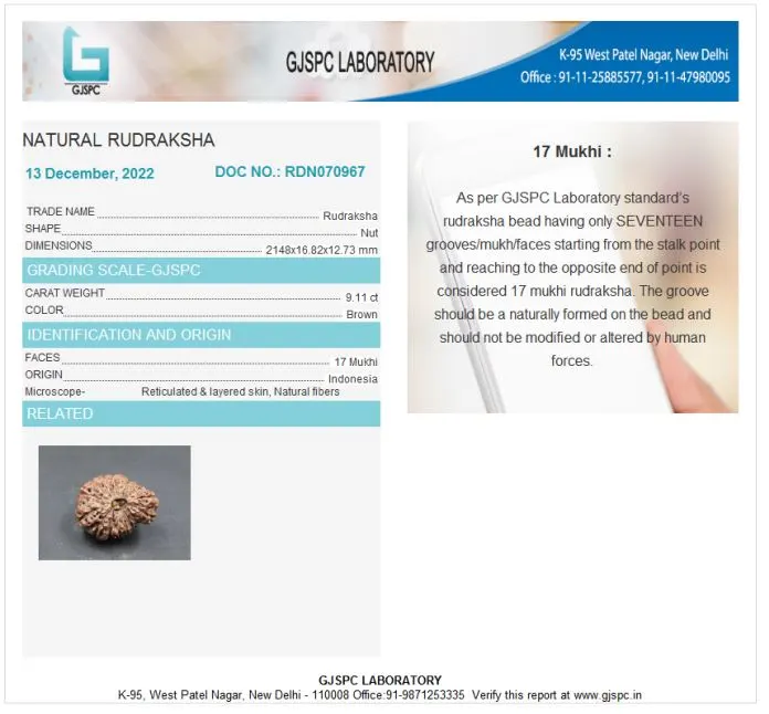 17 Mukhi Certificate