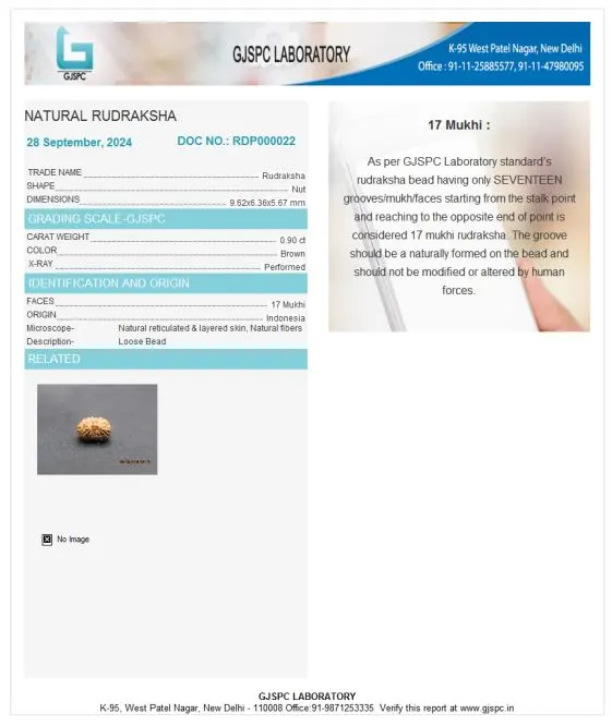 17 Mukhi Certificate