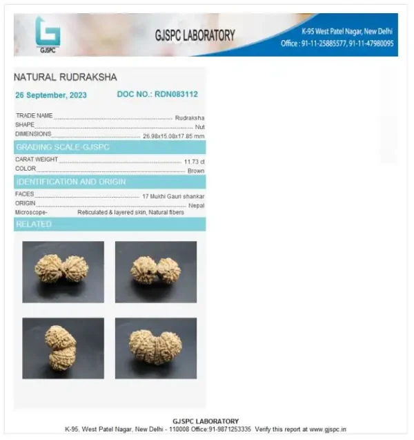 17 Mukhi Certificate