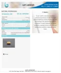 17 Mukhi Certificate