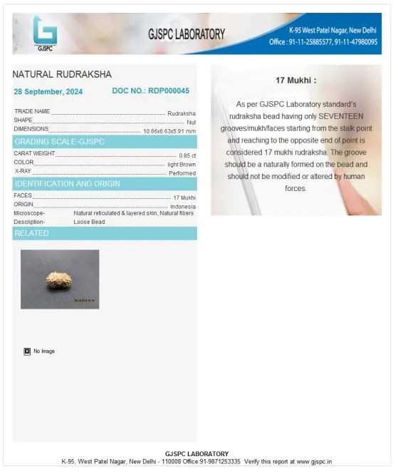 17 Mukhi Certificate