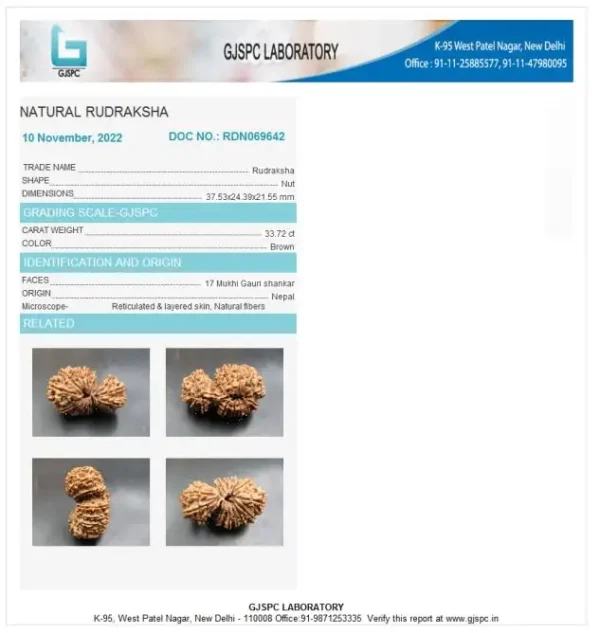 17 Mukhi Certificate