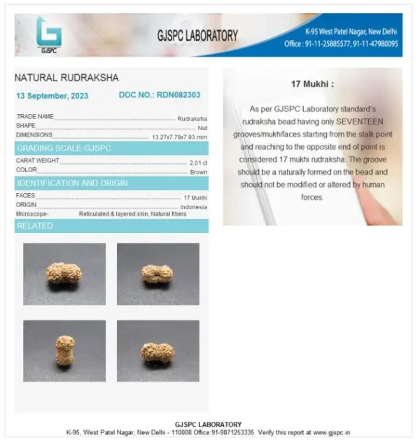 17 Mukhi Certificate