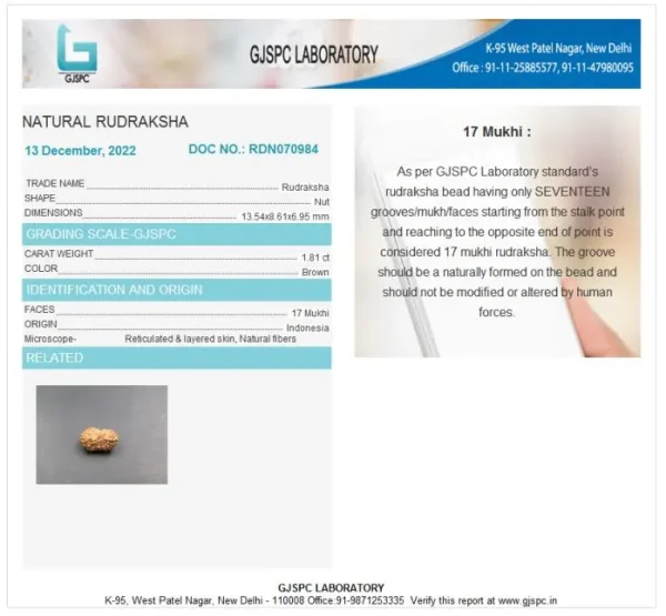 17 Mukhi Certificate