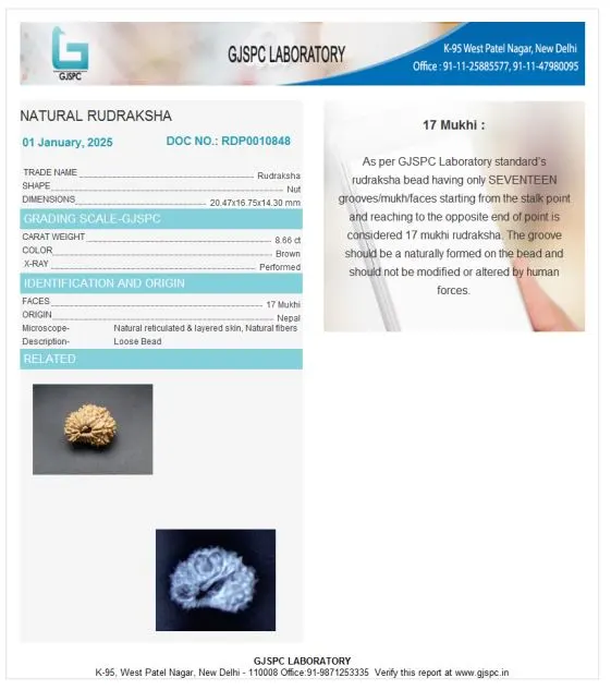 17 Mukhi Certificate