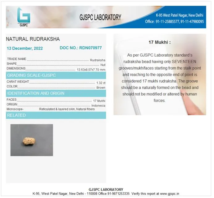 17 Mukhi Certificate