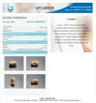 17 Mukhi Certificate