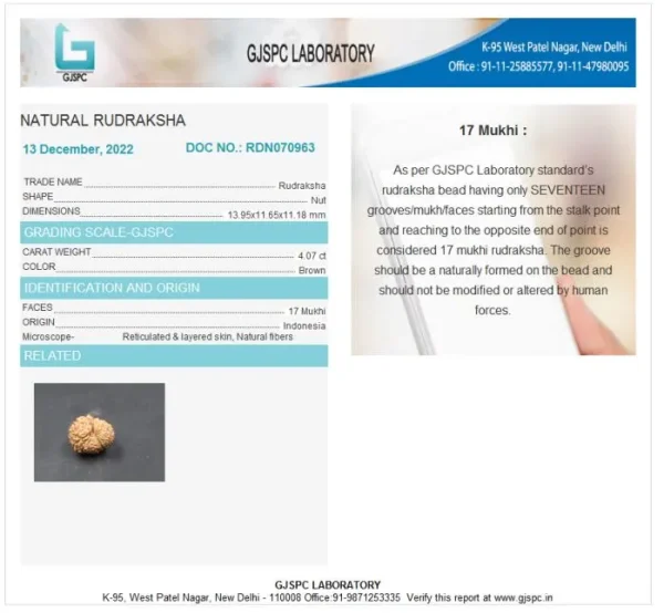 17 Mukhi Certificate