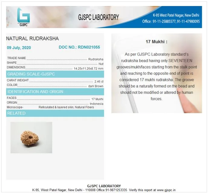 17 Mukhi Certificate