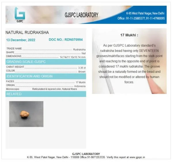 17 Mukhi Certificate