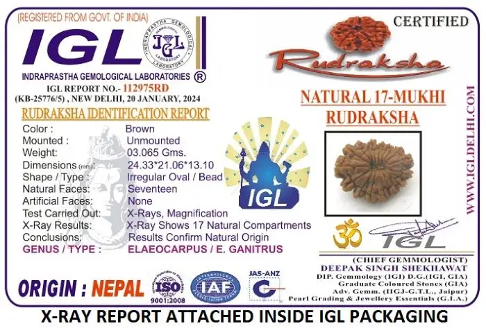 17 Mukhi Certificate