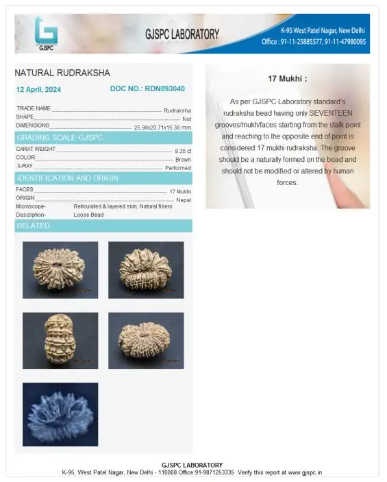 17 Mukhi Certificate