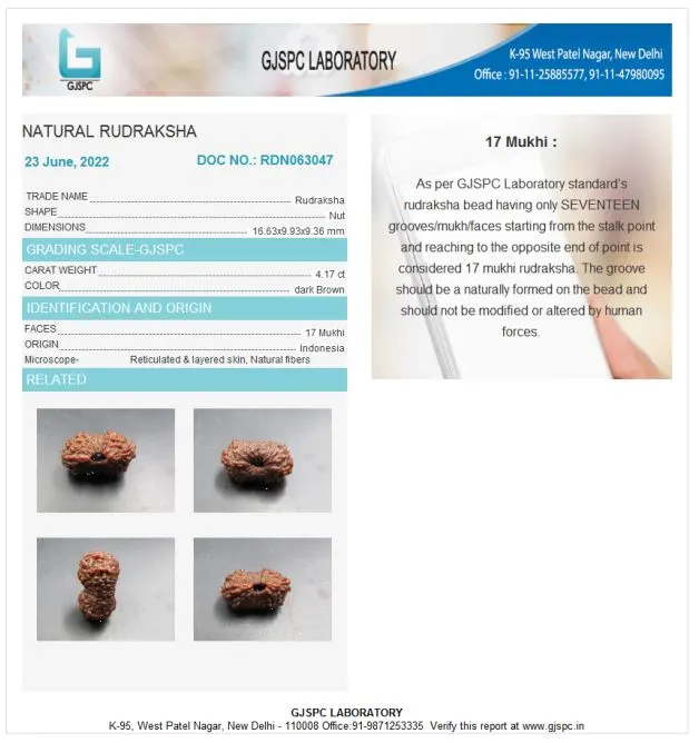 17 Mukhi Certificate