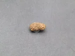 17 Mukhi Rudraksha