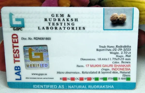 17 Mukhi Certificate
