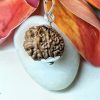 17 mukhi pic 1