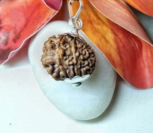 17 mukhi pic 1