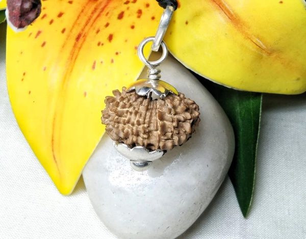 17 mukhi pic