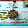 17 mukhi pic