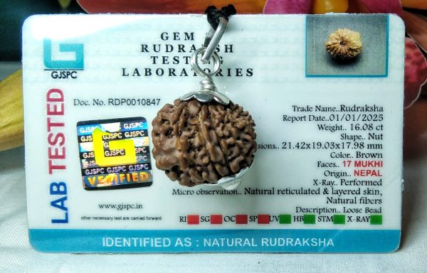 17 mukhi pic